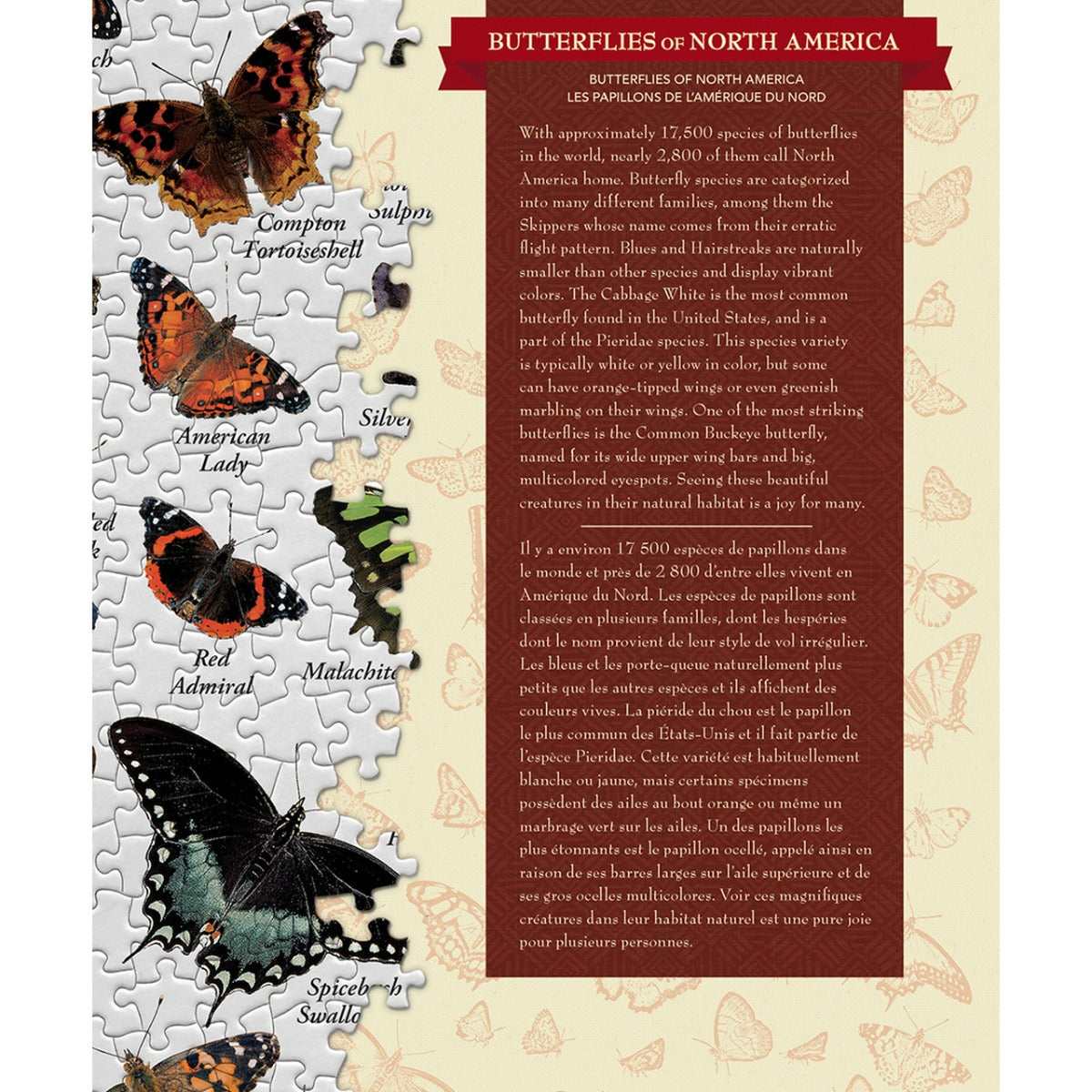 Poster Art - Butterflies of North America