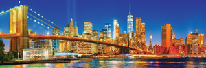 PFG City Panoramics - Brooklyn Bridge, Ny (Usage/Used - PUZZLES FOR GOOD)