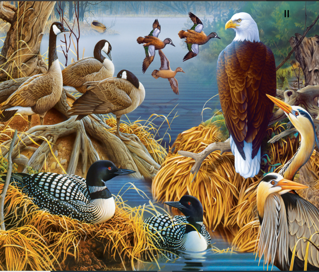Audubon - Lake Life