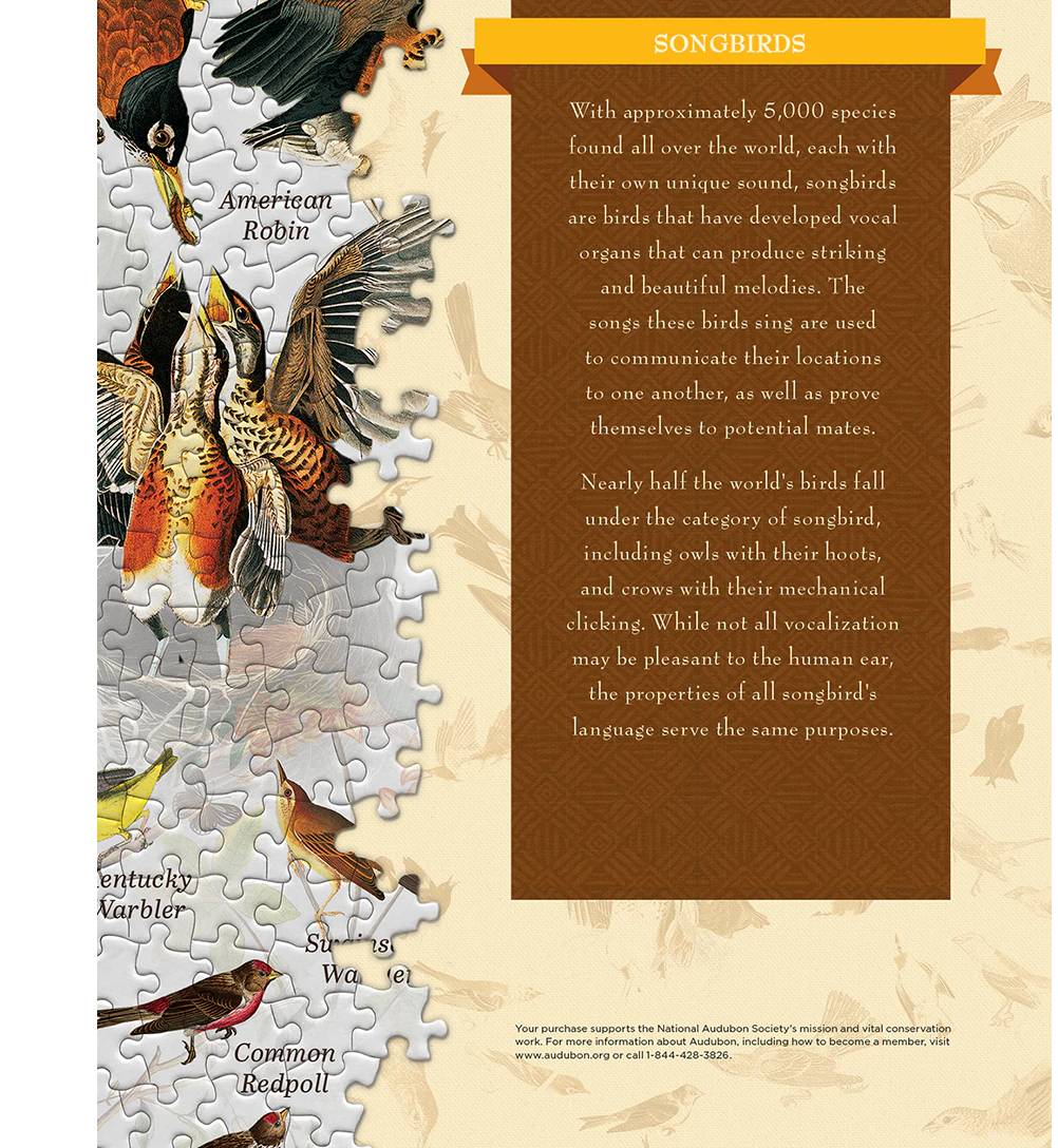 Affiche art - oiseaux chanteurs Audubon