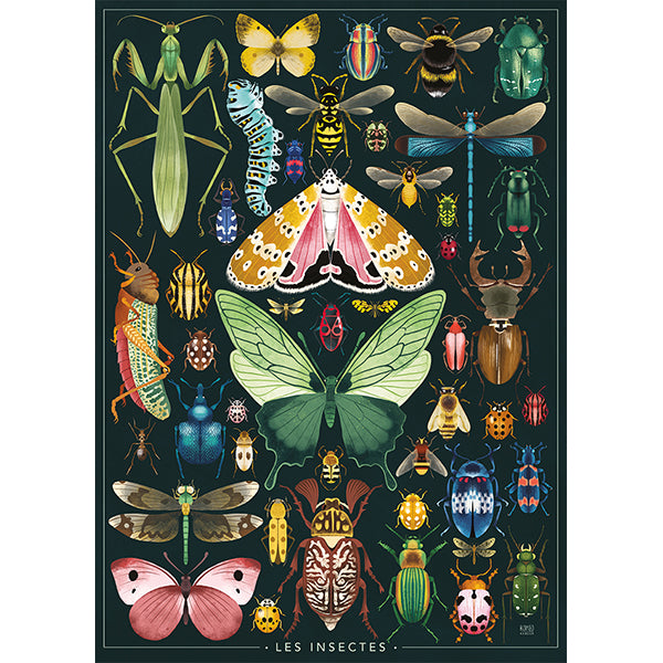 Collection Artiste - Les Insectes, Rebecca Romeo (1000pcs)