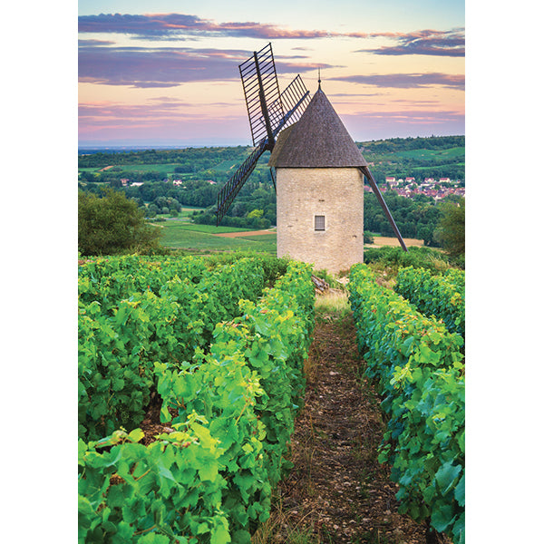 Collection Evasion - Moulin Sorine, Vignoble Santenay (1000pcs)