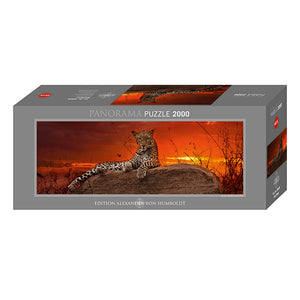 Red Dawn, AVH (2000pcs)