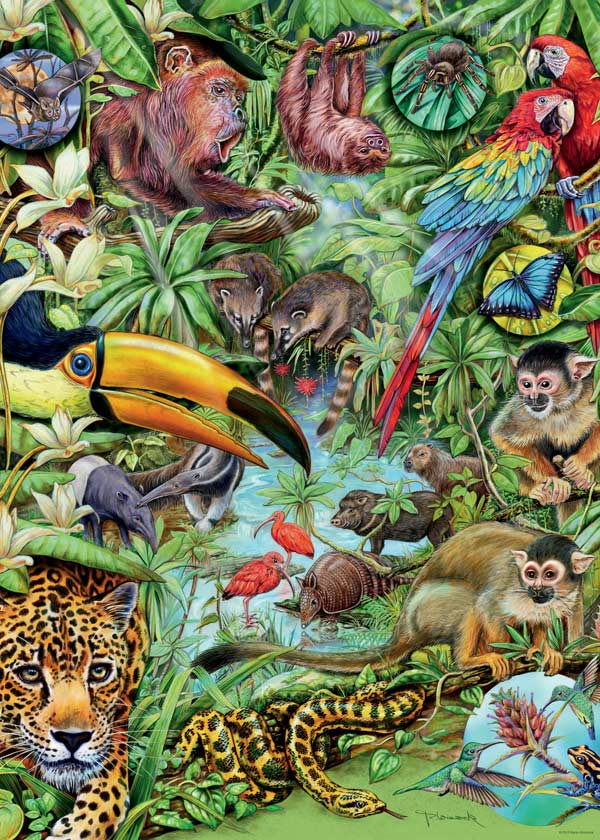 Rainforest, Marion Wieczorek
