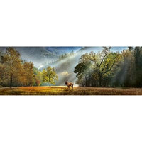 Morning Salute (PANORAMIC) (1000pcs)