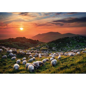 Sheep and Volcanoes, AVH (1000pcs)