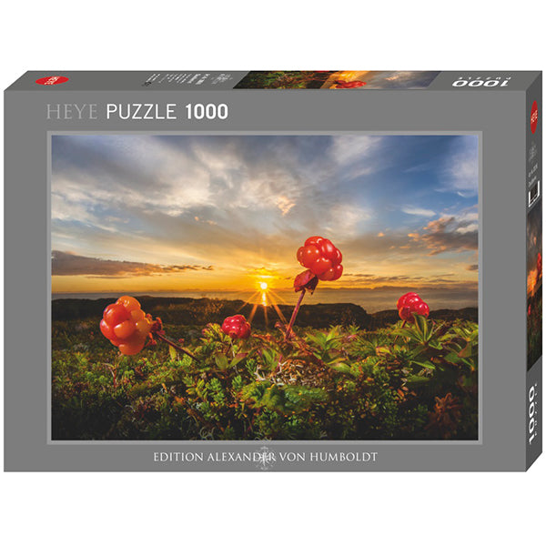 Cloudberries, AVH (1000pcs)