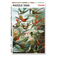 Hummingbirds, Haeckel