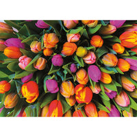 Tulipes (1000pcs)