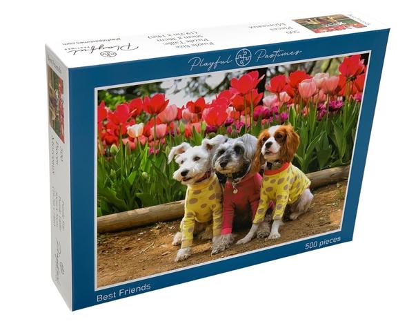 Pastimes ludiques - meilleurs amis (500pcs)