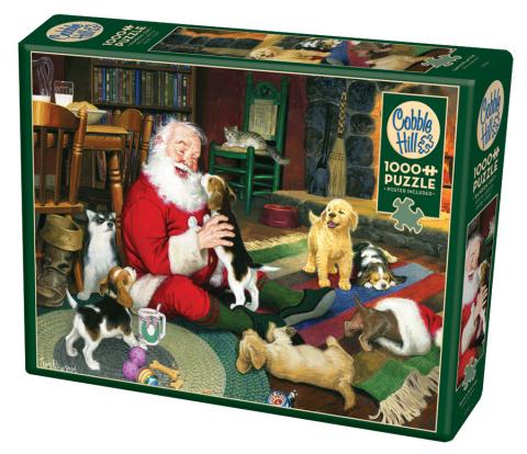 Santa's Playtime, Tom Newsom