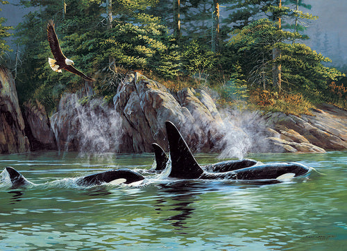 Orcas (1000 pcs)