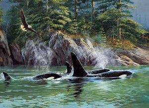 ORCAS (1000 PCS)
