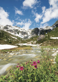 Brandywine Meadows, Whistler, B. C.