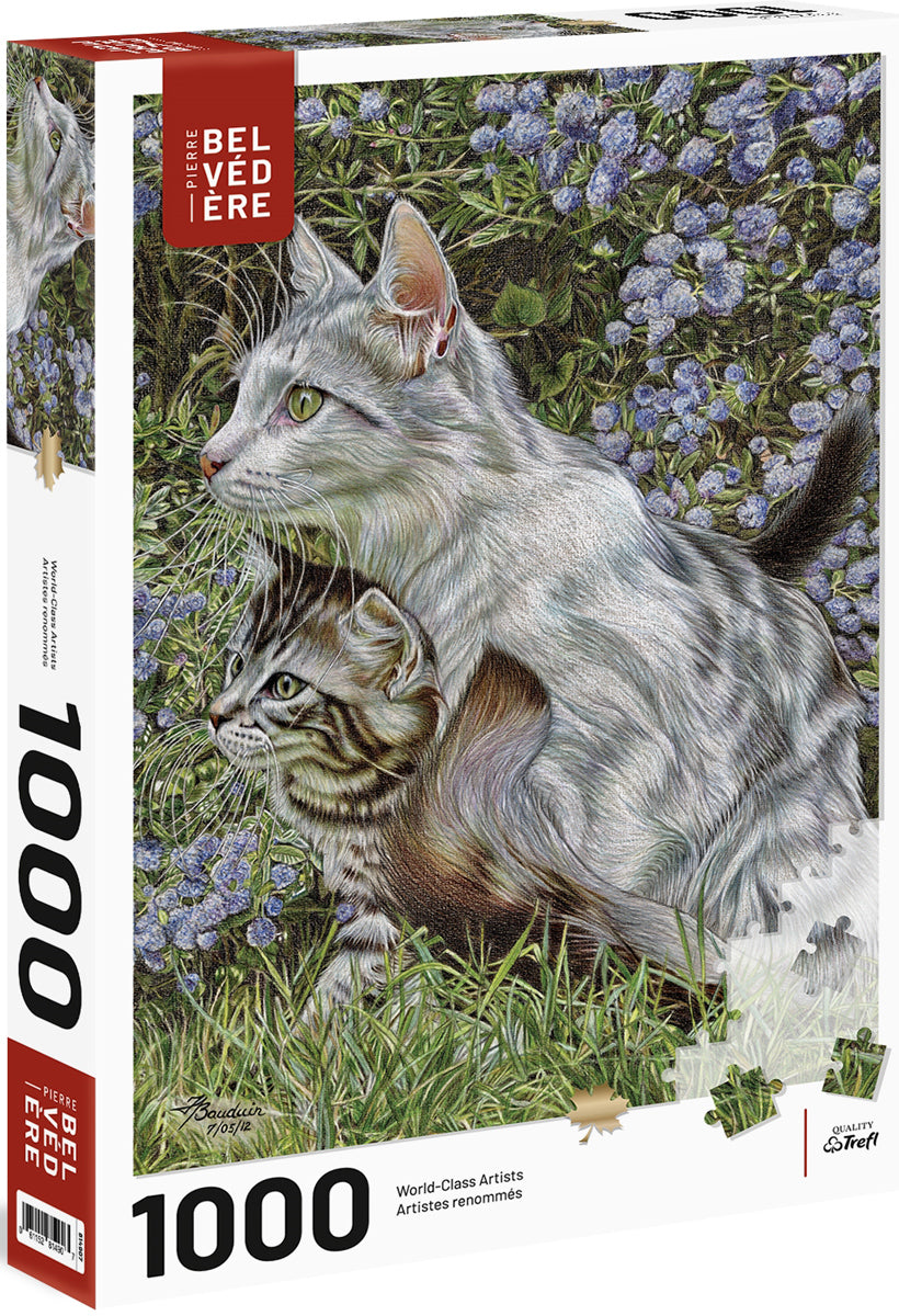 Complicité, France Bauduin (1000pcs)