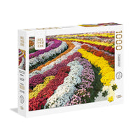 Chrysanthemum Garden (1000pcs)