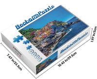 PFG Cinque Terre  (Usagé/Used - PUZZLES FOR GOOD)