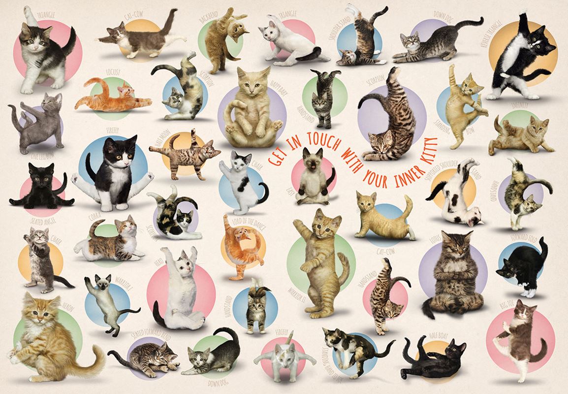 Yoga Kittens - Get in Touch With Your Inner Kitty (300pcs)
