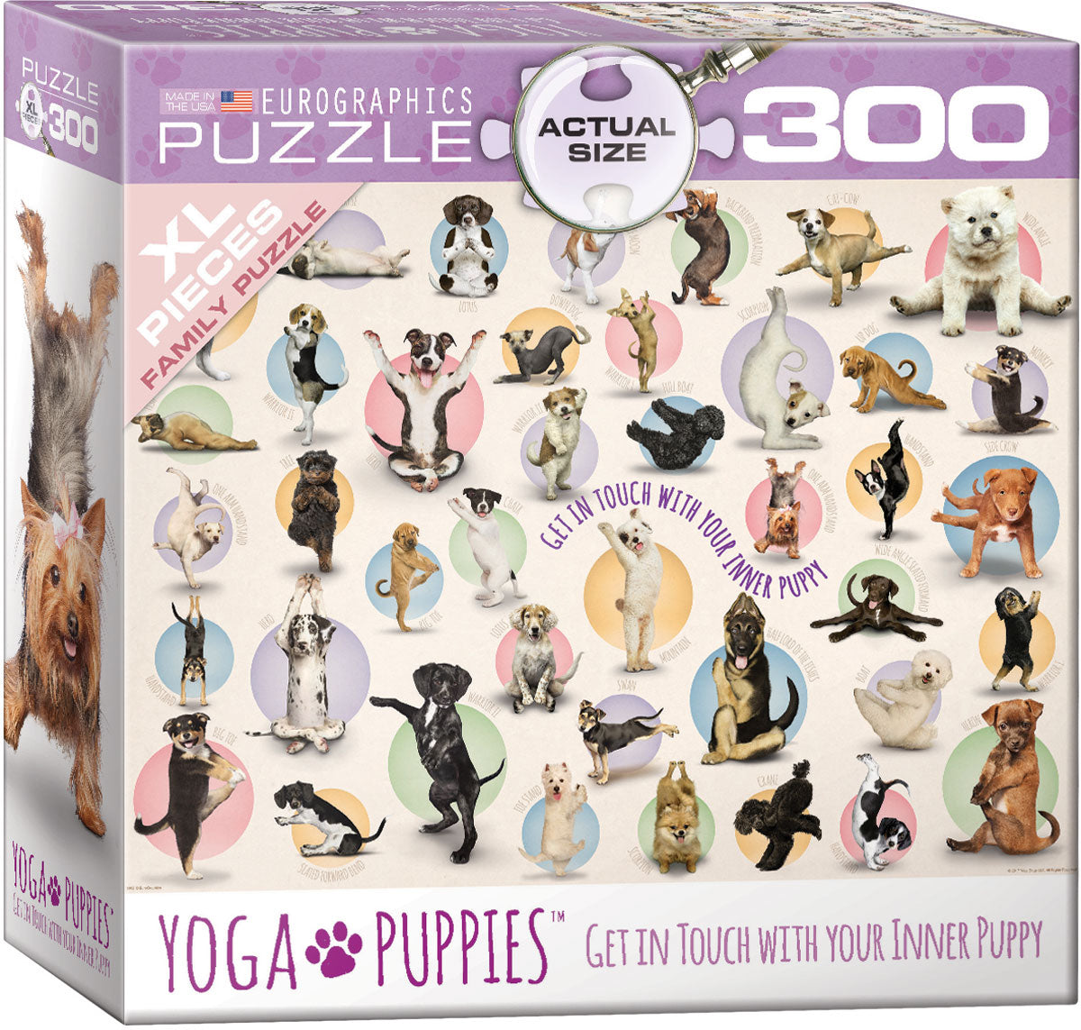 Yoga Puppies, Get in Touch With Your Inner Puppy (300pcs)