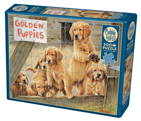 Golden Puppies, Jim Killen