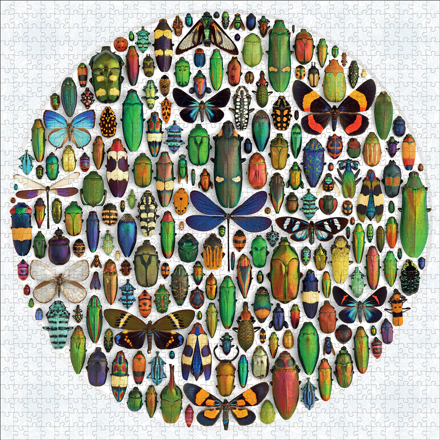 PFG Exquisite Creatures II: Insect Art, Christopher Marley