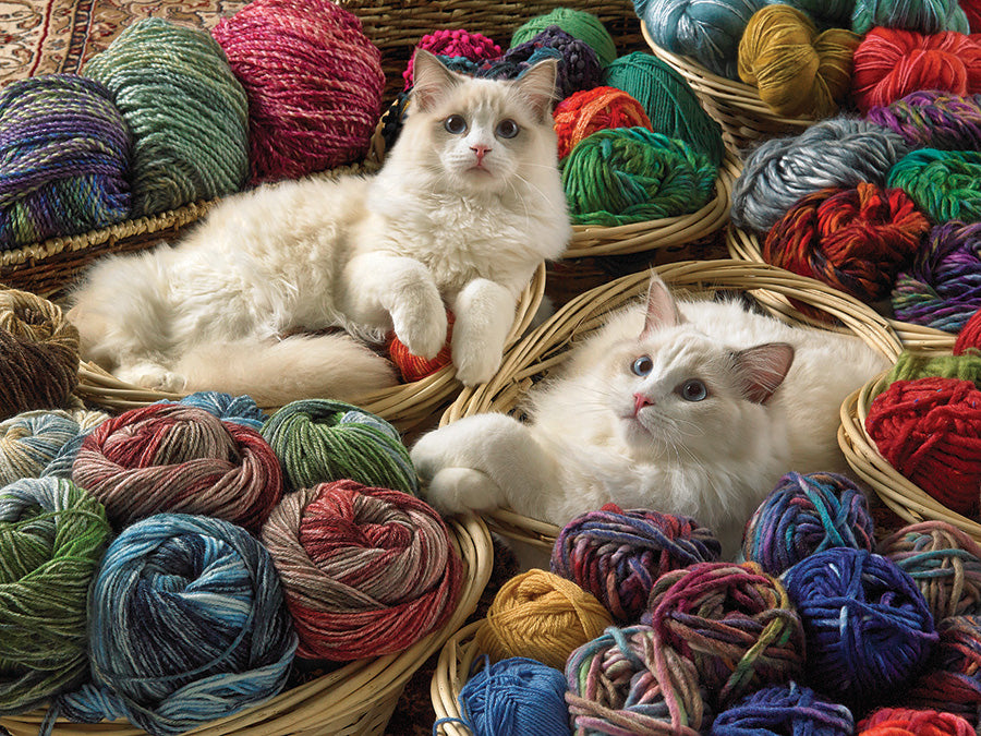Ragdolls
