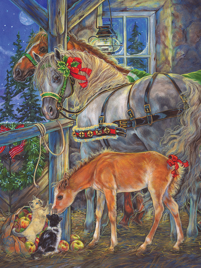 Holiday Horsies, Donna Race