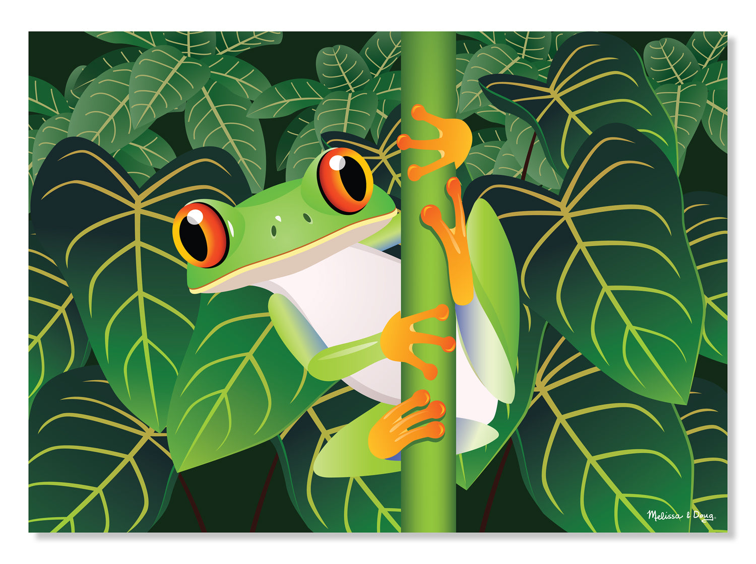 Grenouille d'arbre aux yeux rouges