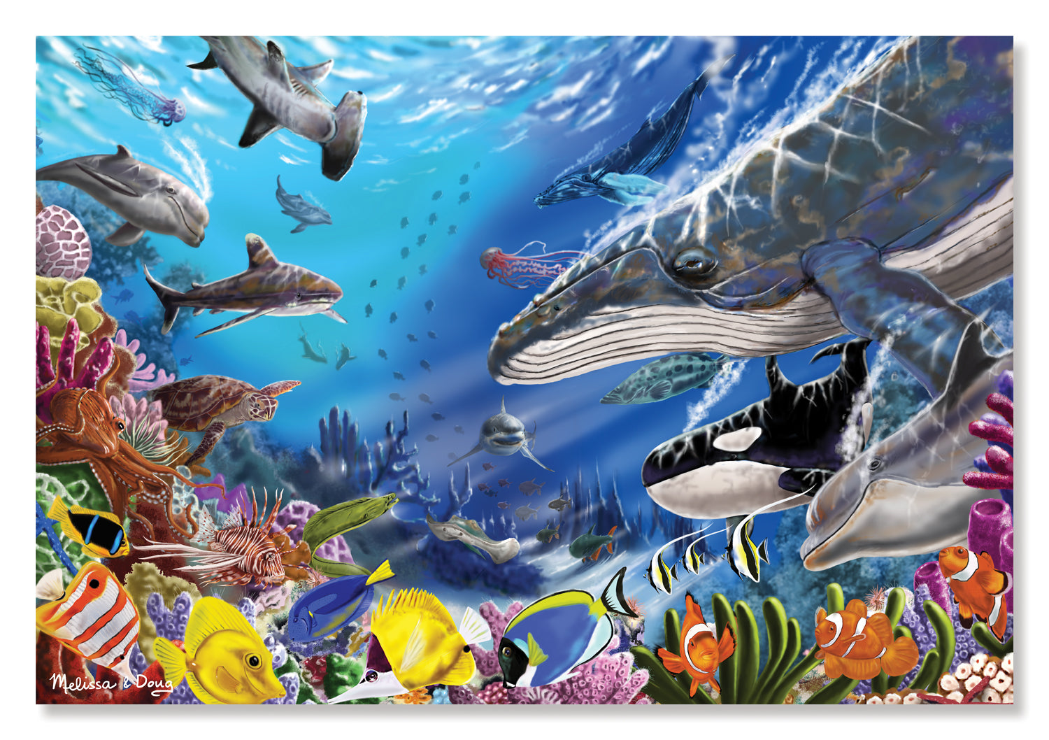 Living Ocean (Vie Oceane)