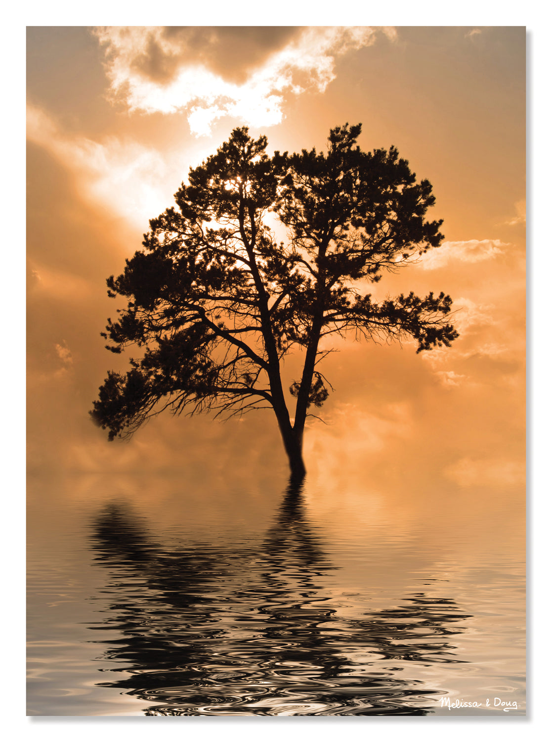 Tree Island (Arbre emergeant de l'eau)