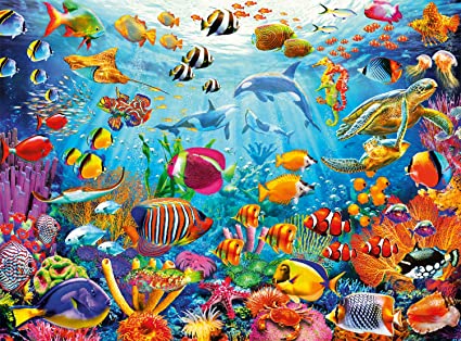 Marine Color: Reef Rush Hour (1000pcs)