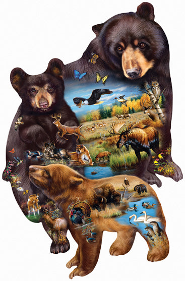 Adventure de la famille des ours (en forme)