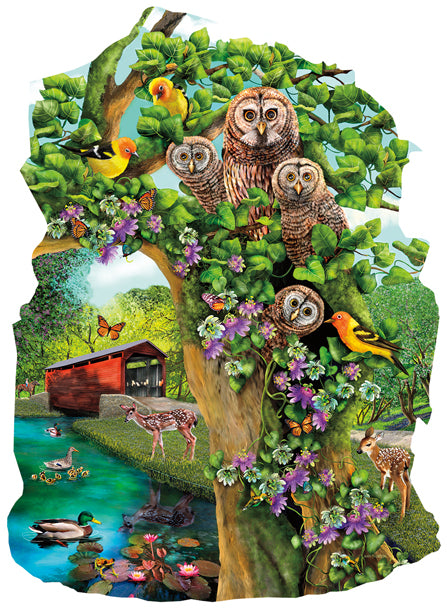 Condo de hibou