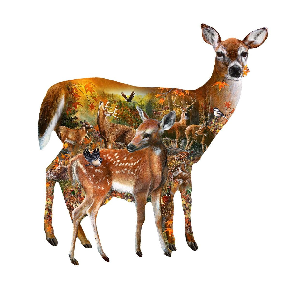 Forest Majesty, Kevin Daniel / JQ Licensing