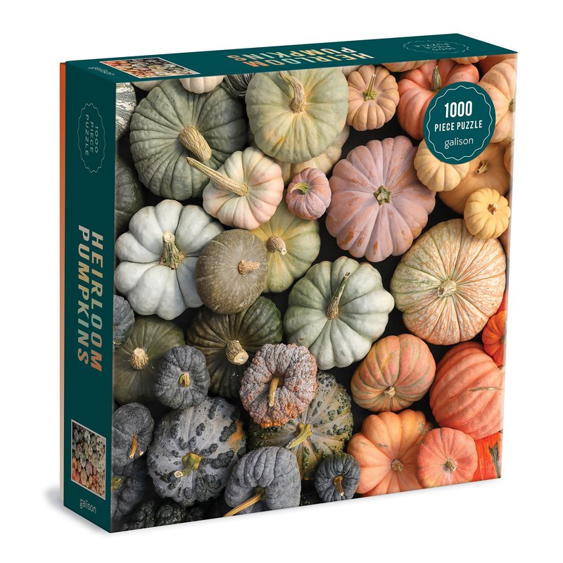 Pumpkins héritiers (1000pcs)