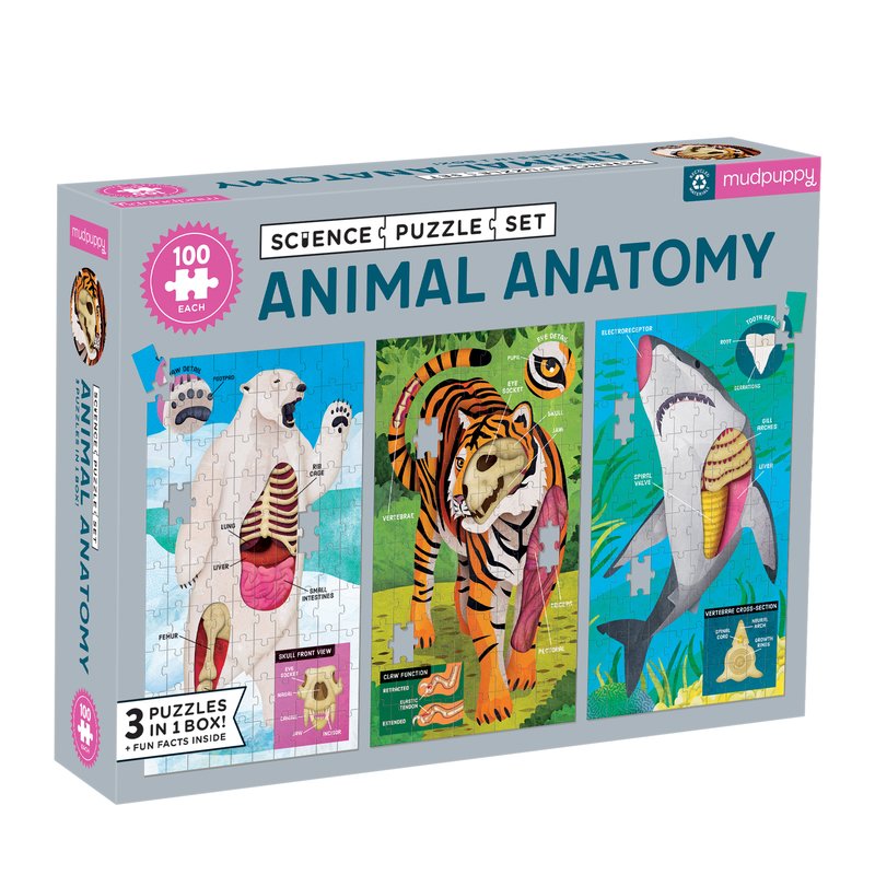 Animal Anatomy Science (3 x 100pcs)