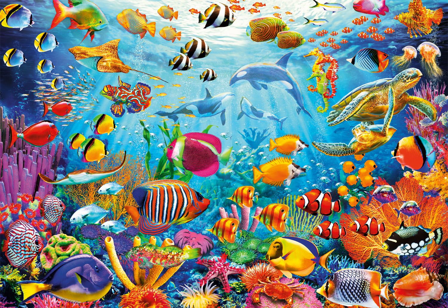 Reef Rush Hour (2000pcs)