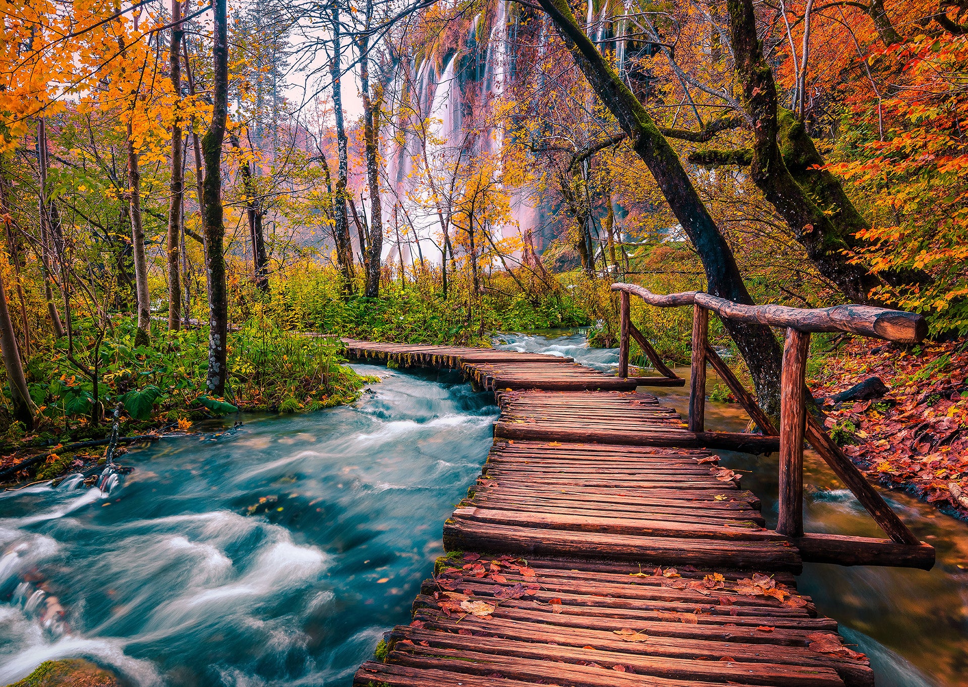 Forest Stream in Plitvice, Croatia (1000pcs)