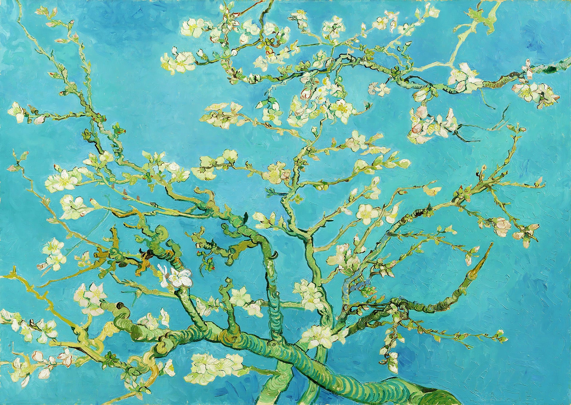Almond Blossom, Van Gogh (1000pcs)