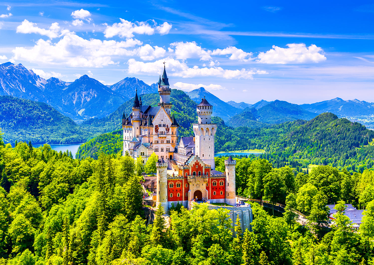 Enjoy- Neuschwanstein Castle in Summer, Germany (1000pcs)