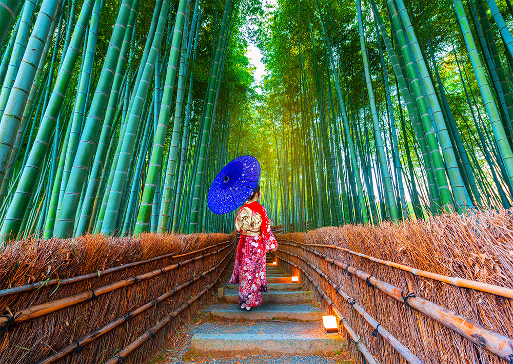 Asian Woman in Bamboo Forest (1000pcs)