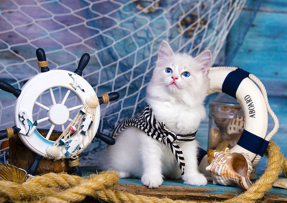 Captain Kitten (1000pcs)