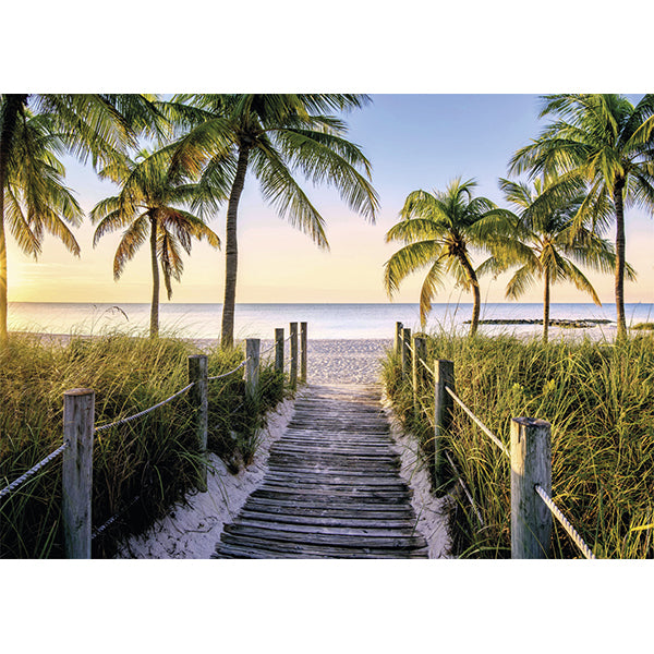 Collection Evasion - Plage de Floride (1000pcs)