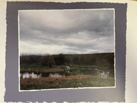 PFG effronté (utilisation / utilisée - puzzles pour de bon)