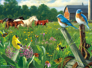 PFG Country Meadow (Usage/Used - PUZZLES FOR GOOD)