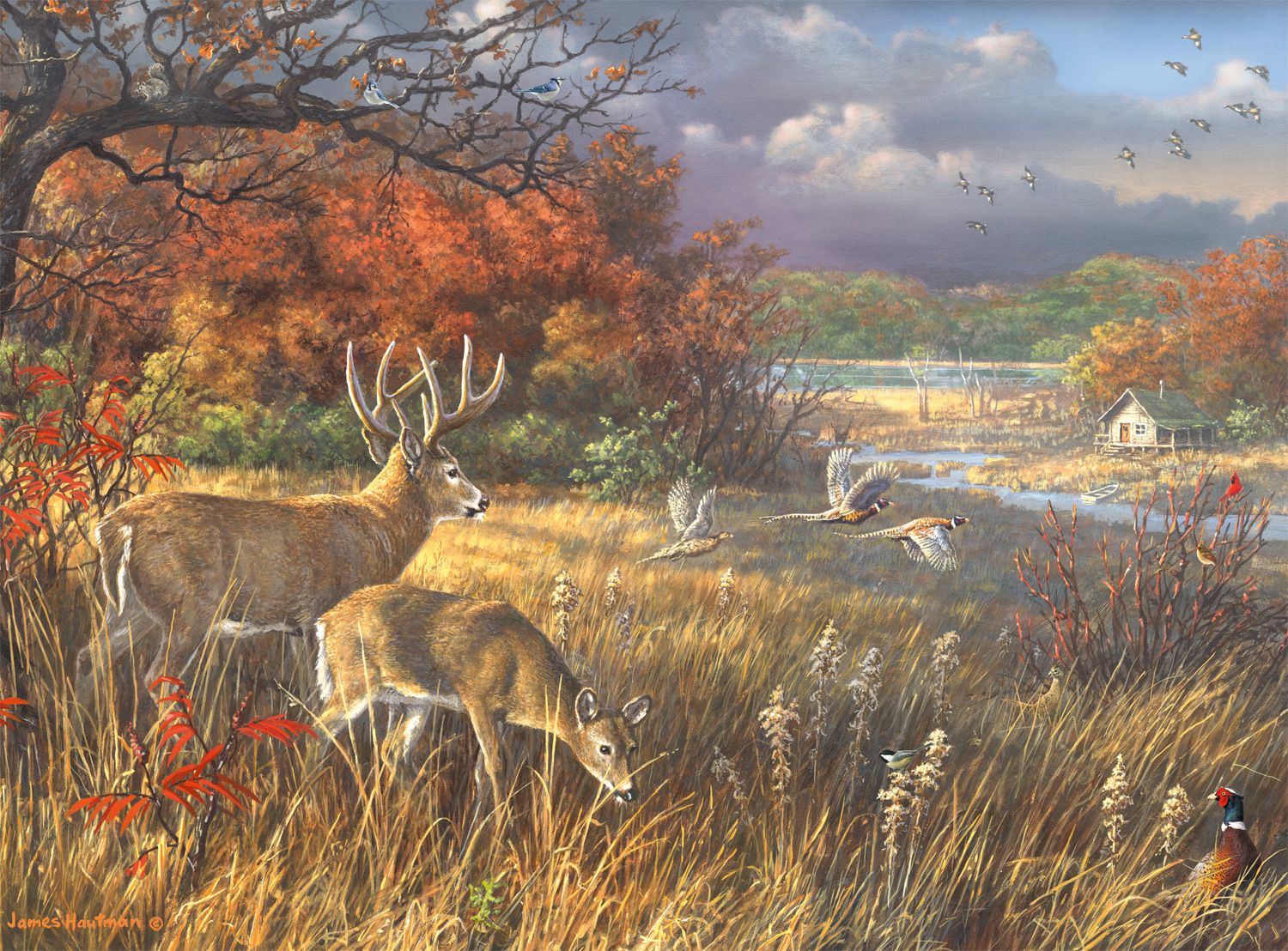 Sportsmans Paradise