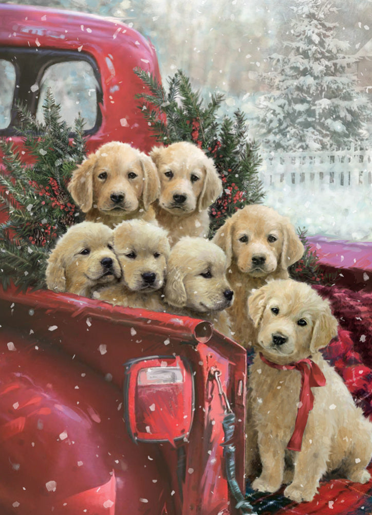 Christmas Delivery