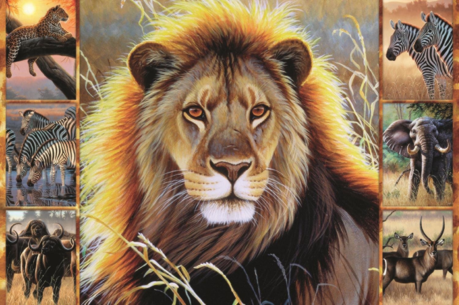 African Beauty, Cynthie Fisher