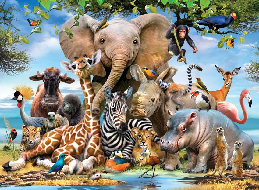 Africa Smile (1000pcs)