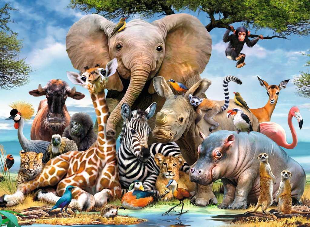 Ravensburger amis africains